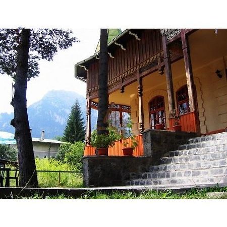 Hotel Casa Frasin Buşteni Zewnętrze zdjęcie