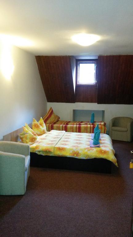 Hotel Casa Frasin Buşteni Pokój zdjęcie