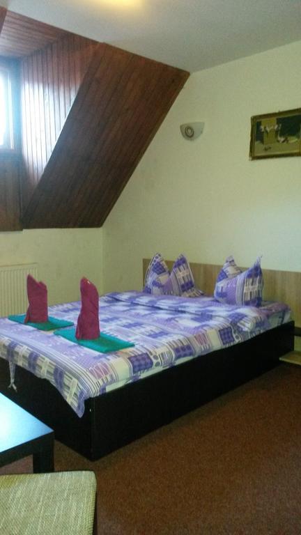 Hotel Casa Frasin Buşteni Zewnętrze zdjęcie