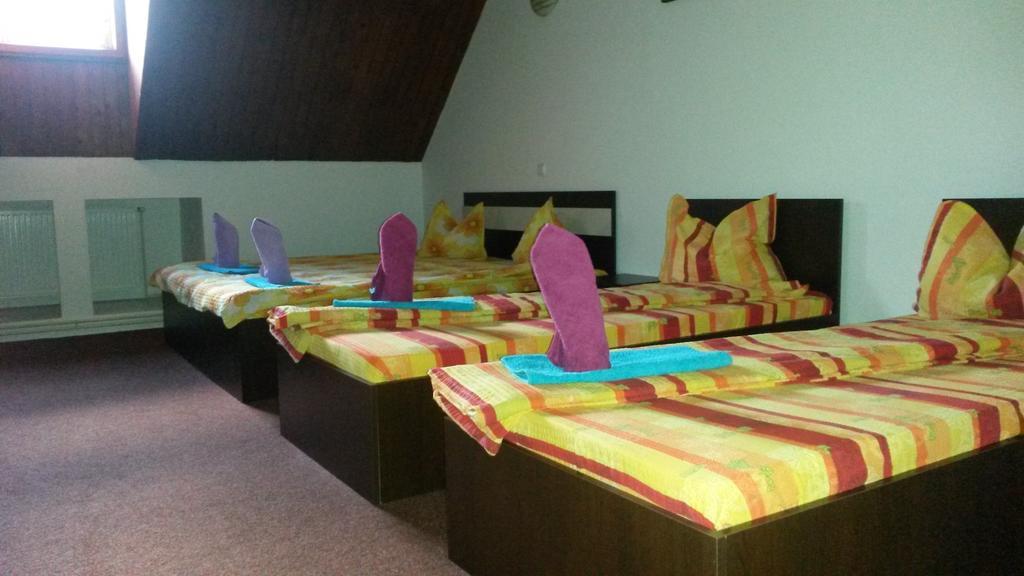 Hotel Casa Frasin Buşteni Pokój zdjęcie